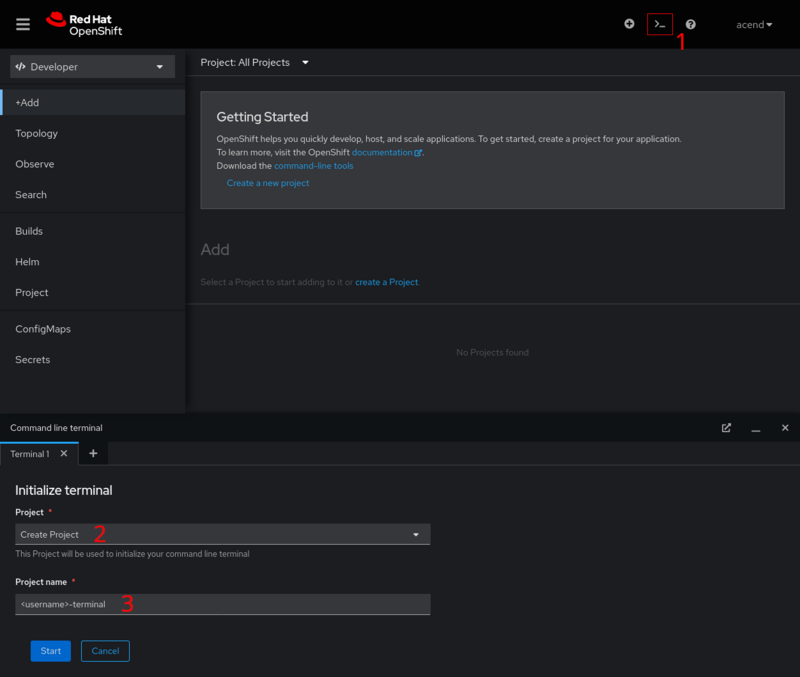 Web terminal in the OpenShift console